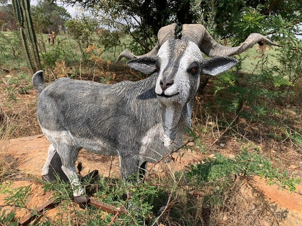 Wildcrete Australian Feral Goat 3D Target