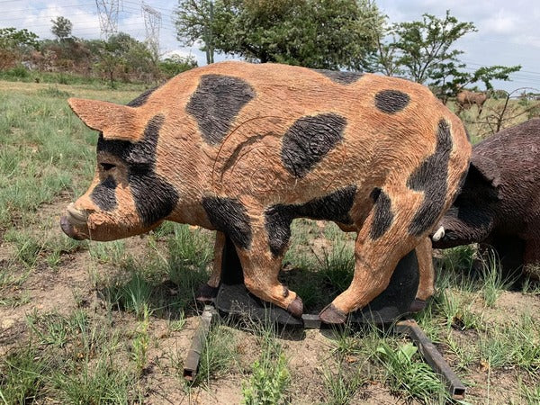 Wildcrete Australian Feral Boar 3D Target